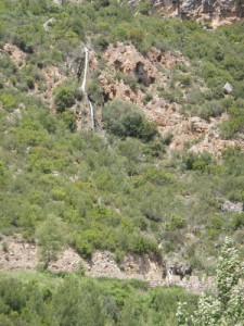 AL LIMITE ENTRE ALBACETE Y JAEN (Marinas, Aguas del Buitre y Avellano)-media-33